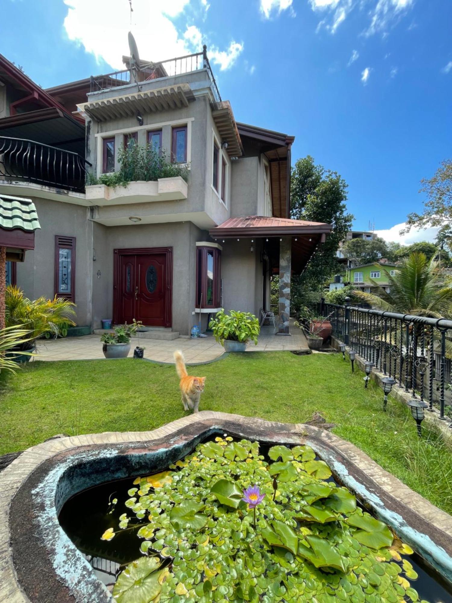 中国蒲公英民宿dandelion Guest House Villa With Mount View Kandy Dış mekan fotoğraf