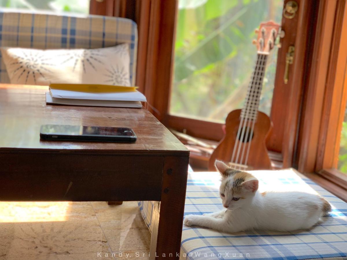 中国蒲公英民宿dandelion Guest House Villa With Mount View Kandy Dış mekan fotoğraf